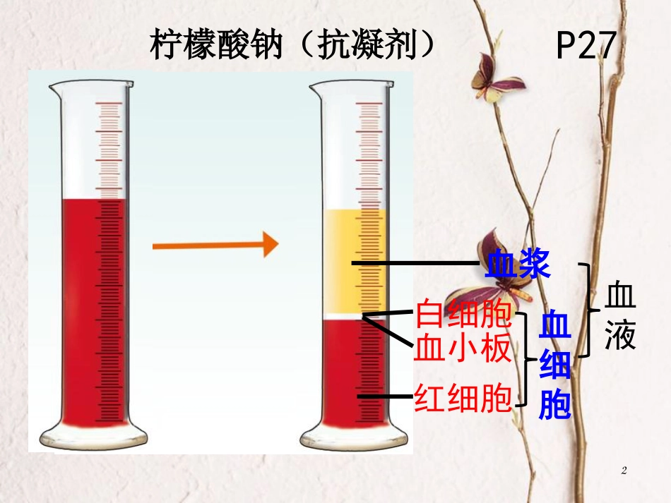 七年级生物下册 9.1血液课件 （新版）北师大版(1)_第2页