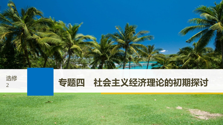2019届高考政治一轮复习 专题四 社会主义经济理论的初期探讨课件 新人教版选修2_第1页