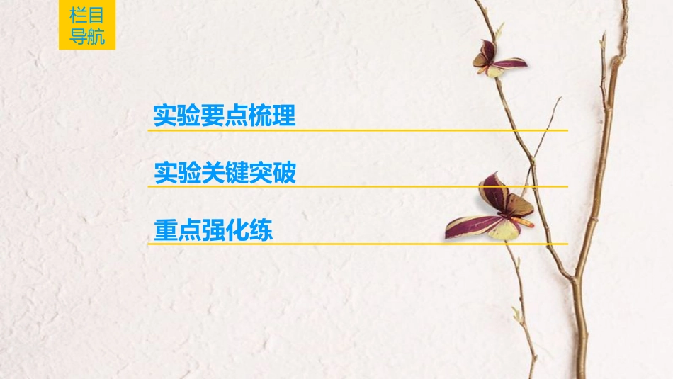 2019届高考物理一轮复习 第3章 牛顿运动定律 实验4 验证牛顿运动定律课件 新人教版_第2页