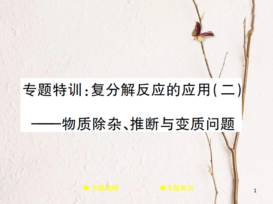 九年级化学下册 专题特训 复分解反应的应用（二）习题课件 （新版）鲁教版(1)_第1页