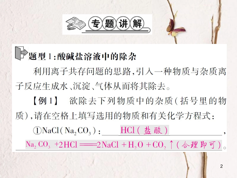 九年级化学下册 专题特训 复分解反应的应用（二）习题课件 （新版）鲁教版(1)_第2页