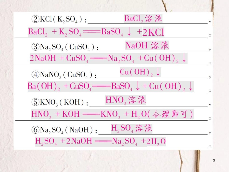 九年级化学下册 专题特训 复分解反应的应用（二）习题课件 （新版）鲁教版(1)_第3页