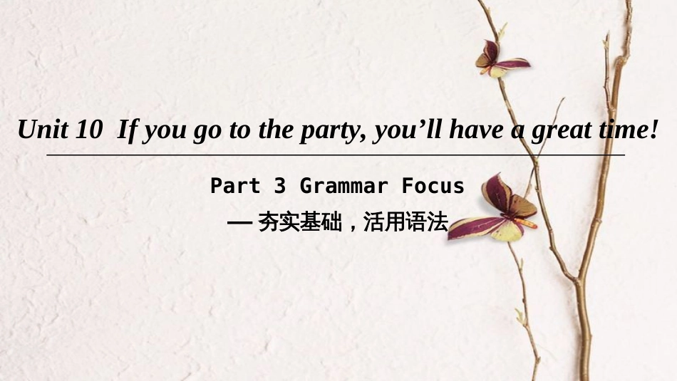 八年级英语上册 Unit 10 If you go to the party you’ll have a great time Part 3 Grammar Focus课件 （新版）人教新目标版_第1页
