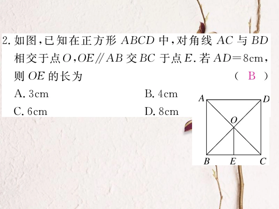 贵州省春八年级数学下册 18.2 特殊的平行四边形 18.2.3 正方形 第1课时 正方形的性质作业课件 （新版）新人教版(1)_第3页