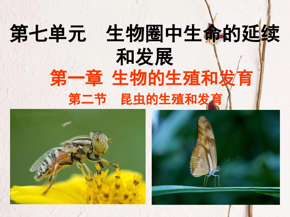 八年级生物下册 7.1.2 昆虫的生殖和发育教学课件 （新版）新人教版_第1页