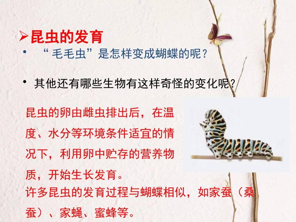 八年级生物下册 7.1.2 昆虫的生殖和发育教学课件 （新版）新人教版_第3页