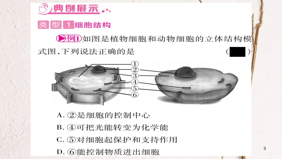 中考生物总复习 知能综合突破 专题1 生物的结构层次课件(1)_第3页