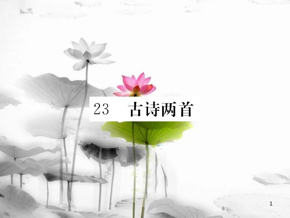 八年级语文下册 第六单元 23 古诗两首习题课件 鄂教版(1)_第1页