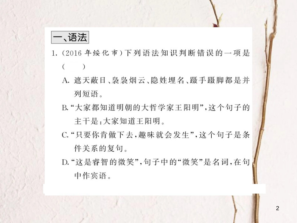 中考语文总复习 第2编 语文知识积累与运用 专题八 语法 修辞与仿写考点精练课件 语文版(1)_第2页