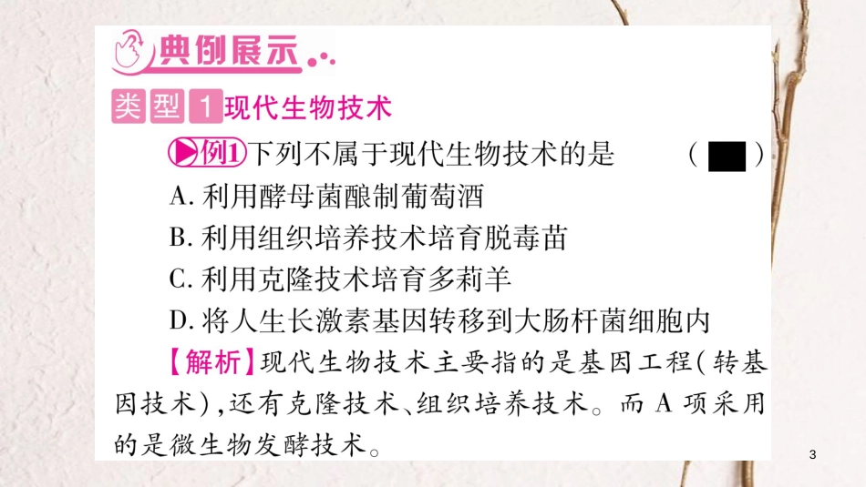 中考生物总复习 知能综合突破 专题8 生物技术课件(1)_第3页