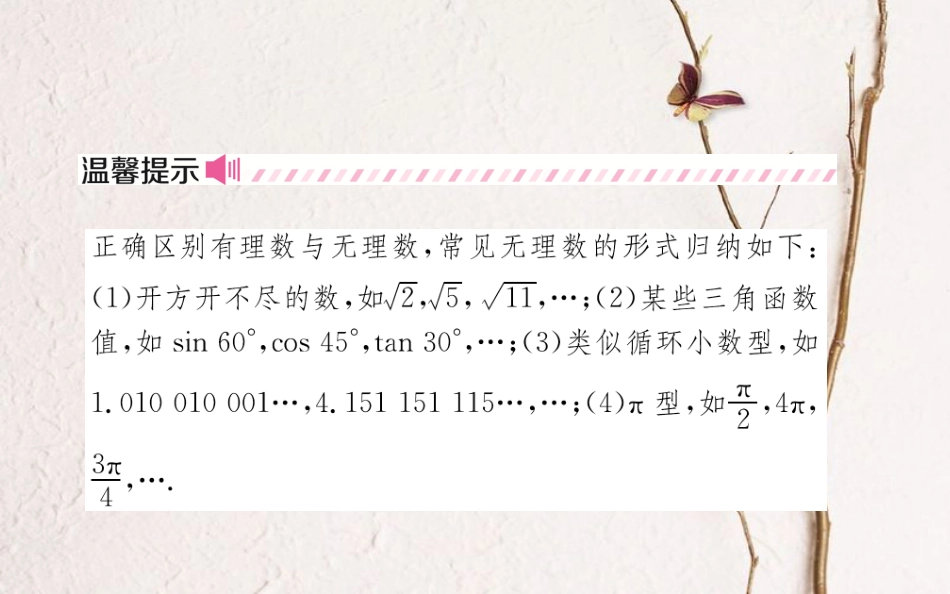 山东省济南市中考数学一轮复习 第一章 数与式 第一节 实数及其运算课件_第3页