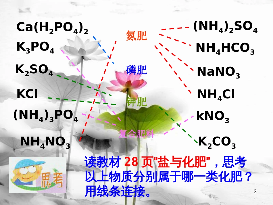 九年级科学上册 1.6 几种重要的盐(第3课时)课件 （新版）浙教版_第3页