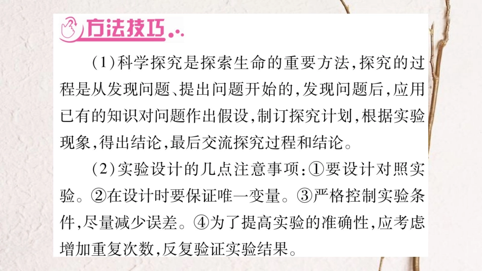 中考生物总复习 题型突破2 实验探究题课件 北师大版_第2页