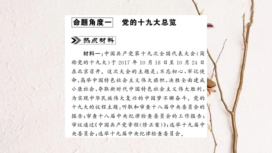 安徽省中考政治 第二篇 热点专题透视 时事专题一 聚焦中国十九大复习课件(1)_第2页