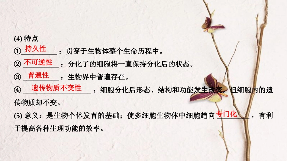 高考生物一轮复习 第五单元 细胞的生命历程 第11讲 细胞的分化、衰老、凋亡和癌变创新备考课件 中图版_第3页
