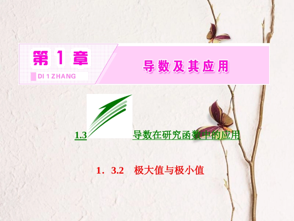 高中数学 第一章 导数及其应用 1.3 导数在研究函数中的作用 1.3.2 极大值与极小值课件 苏教版选修2-2(1)_第2页