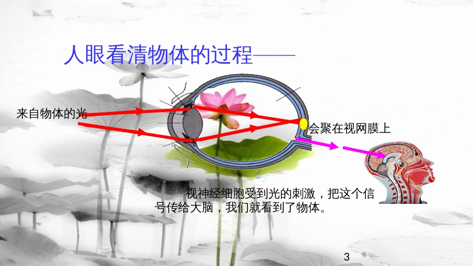 八年级物理下册 6.4眼睛和眼镜课件 （新版）北师大版_第3页