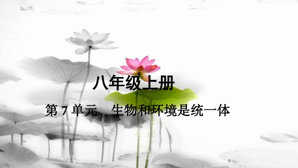 中考生物 八上 第7单元 生物与环境是统一体复习课件_第1页