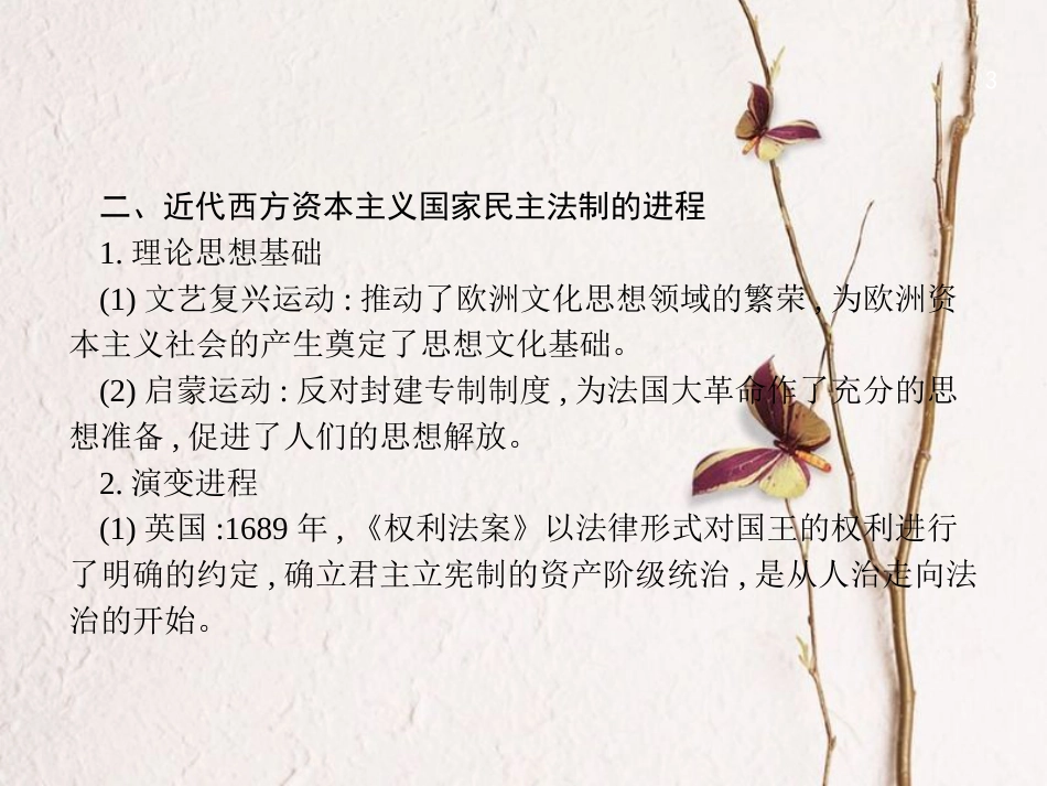 中考历史复习 第二模块 常考专题 专题六 大国崛起 世界民主与法制进程课件_第3页