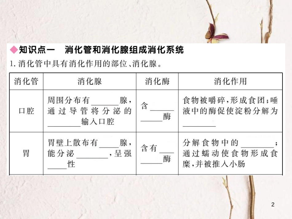 七年级生物下册 第8章 第2节 食物的消化和营养物质的吸收课件1 （新版）北师大版_第2页