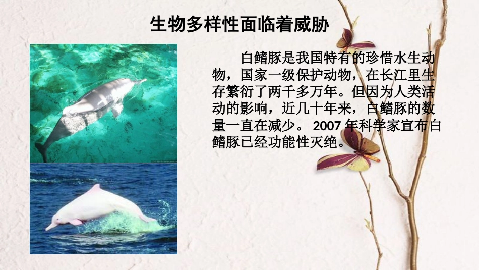 八年级生物上册 第六单元 第三章《保护生物的多样性》课件 （新版）新人教版_第2页