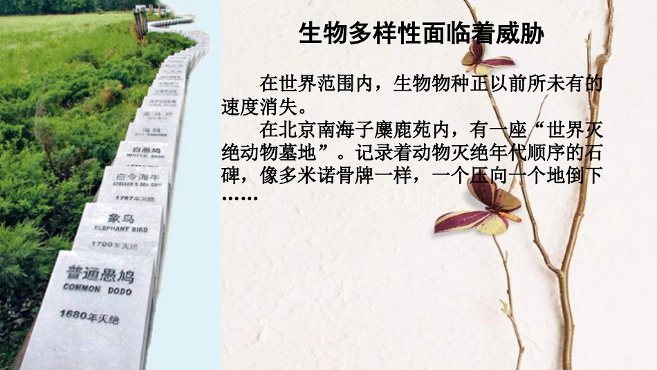 八年级生物上册 第六单元 第三章《保护生物的多样性》课件 （新版）新人教版_第3页