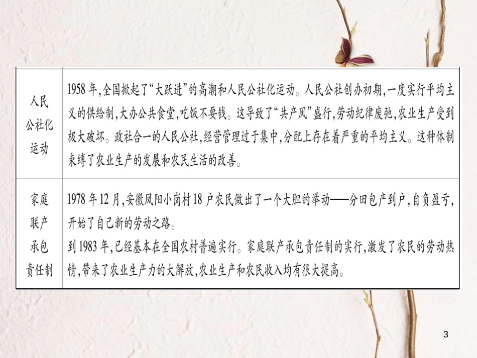 八年级历史下册 专题1 新中国成立以来农村生产关系的调整习题课件 岳麓版[共21页]_第3页