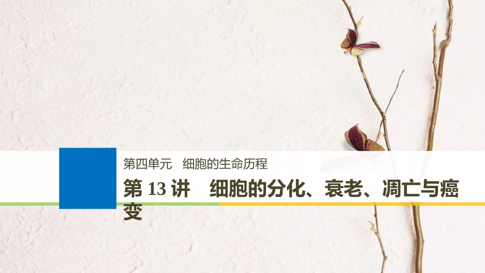 生物高考大一轮复习 第四单元 细胞的生命历程 第13讲 细胞的分化、衰老、凋亡与癌变课件 北师大版_第1页
