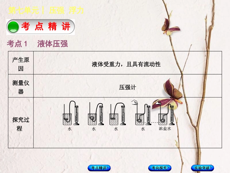 中考物理复习 第七单元 压强 浮力 第11课时 液体的压强课件(1)_第2页