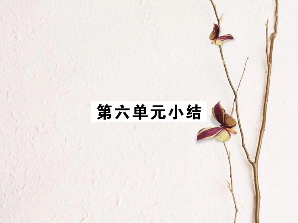 （全国版）九年级历史下册 第六单元 亚非拉国家的独立于振兴小结练习课件 新人教版(1)_第1页