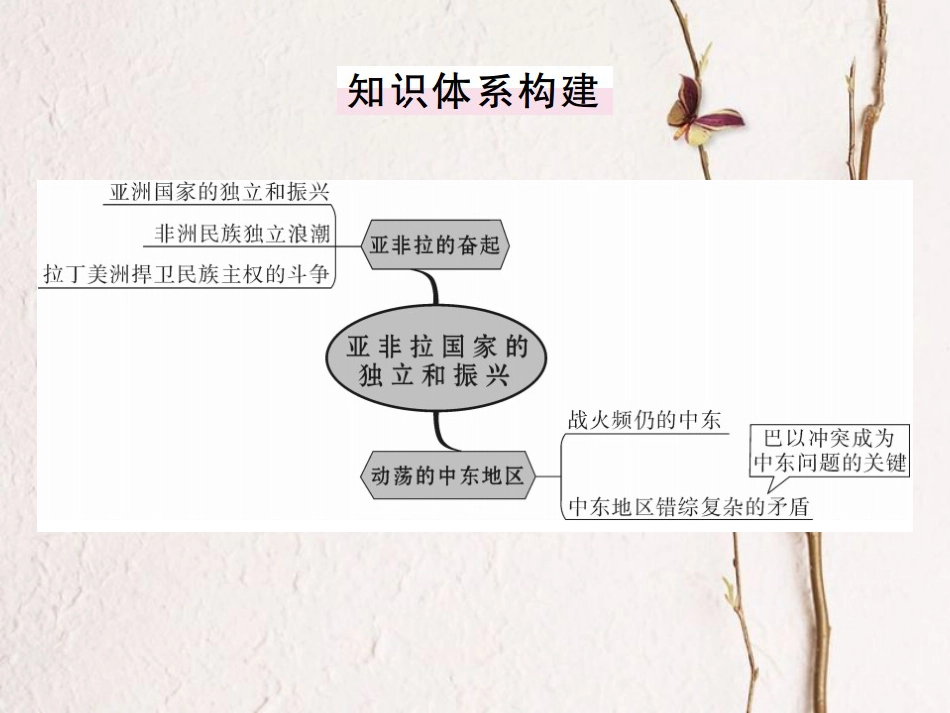（全国版）九年级历史下册 第六单元 亚非拉国家的独立于振兴小结练习课件 新人教版(1)_第2页