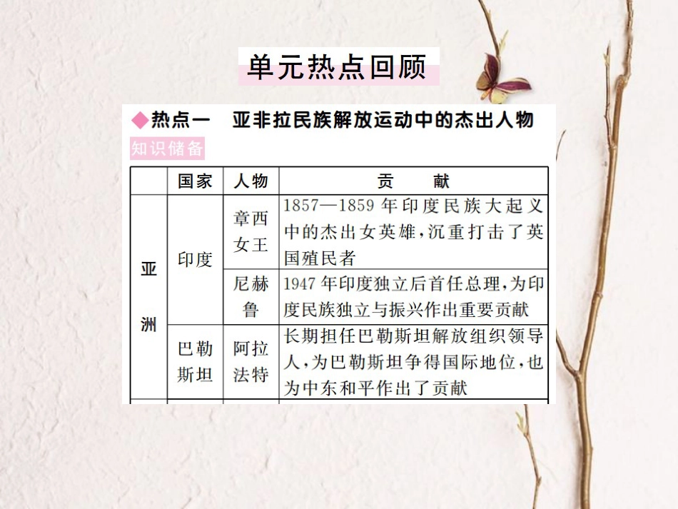 （全国版）九年级历史下册 第六单元 亚非拉国家的独立于振兴小结练习课件 新人教版(1)_第3页