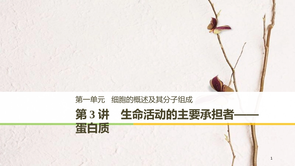 高考生物一轮复习 第1单元 细胞的概述及其分子组成 第3讲 生命活动的主要承担者——蛋白质课件_第1页