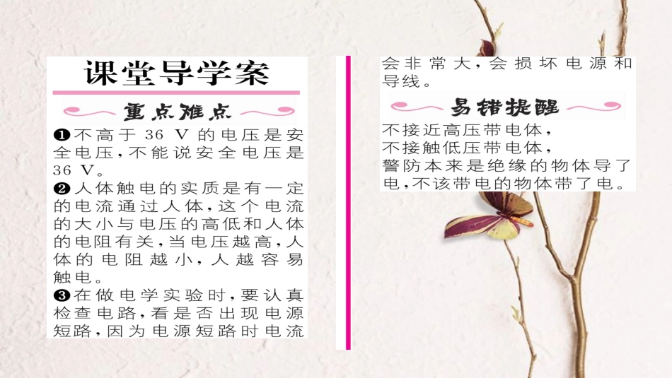 九年级物理全册 第19章 第3节 安全用电习题课件 （新版）新人教版_第2页