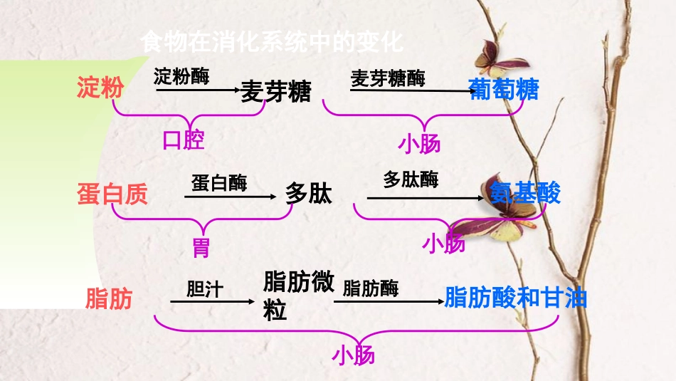 广东中山市七年级生物下册 4.3.1 呼吸道对空气的处理课件 （新版）新人教版_第1页