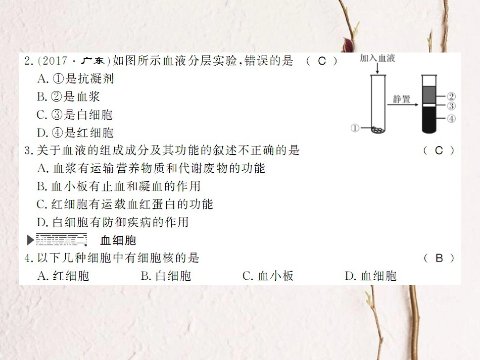 学年七年级生物下册 9.1 血液课件 （新版）北师大版(1)_第3页