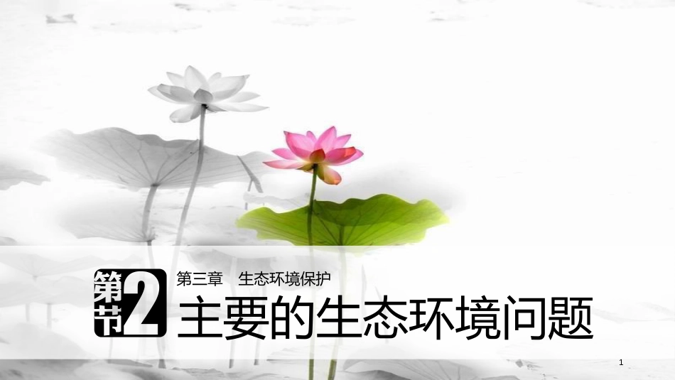 高中地理 第三章 生态环境保护 第二节 主要的生态环境问题同步备课课件 湘教版选修6_第1页