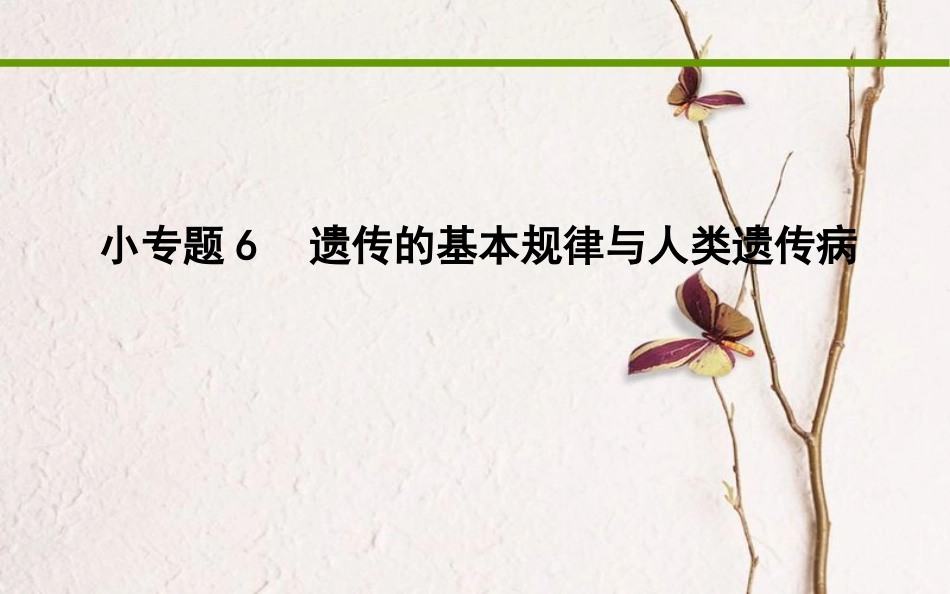 高考生物二轮复习 小专题6 遗传的基本规律与人类遗传病课件_第1页