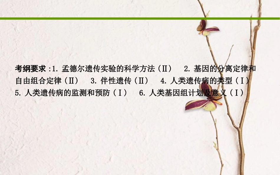 高考生物二轮复习 小专题6 遗传的基本规律与人类遗传病课件_第2页