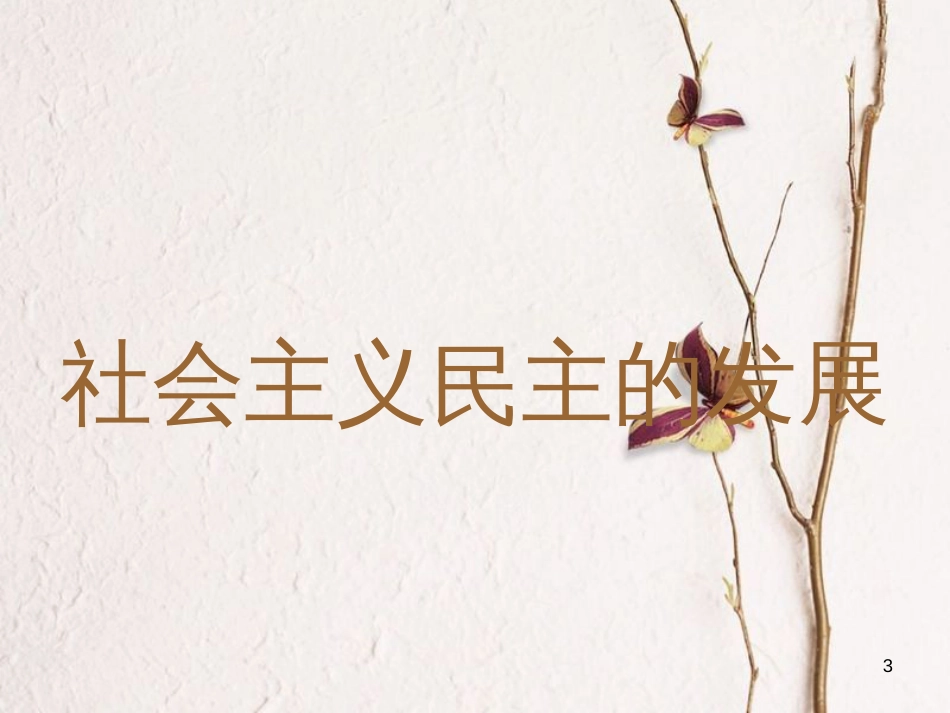 八年级历史下册 第10课 社会主义民主与法制的加强课件 川教版(1)_第3页