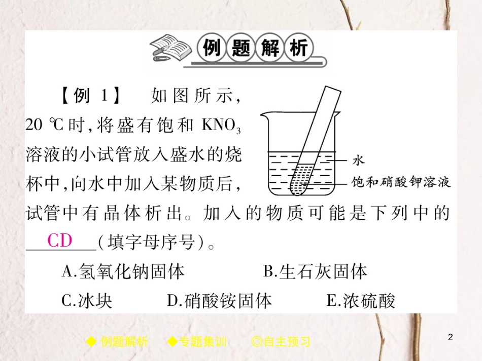 九年级化学下册 专题集训 溶解过程中的现象（热效应）习题课件 （新版）新人教版_第2页