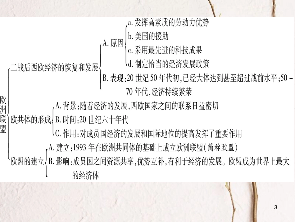 九年级历史下册 第四单元 主要资本主义国家的发展变化小结作业课件 岳麓版(1)_第3页