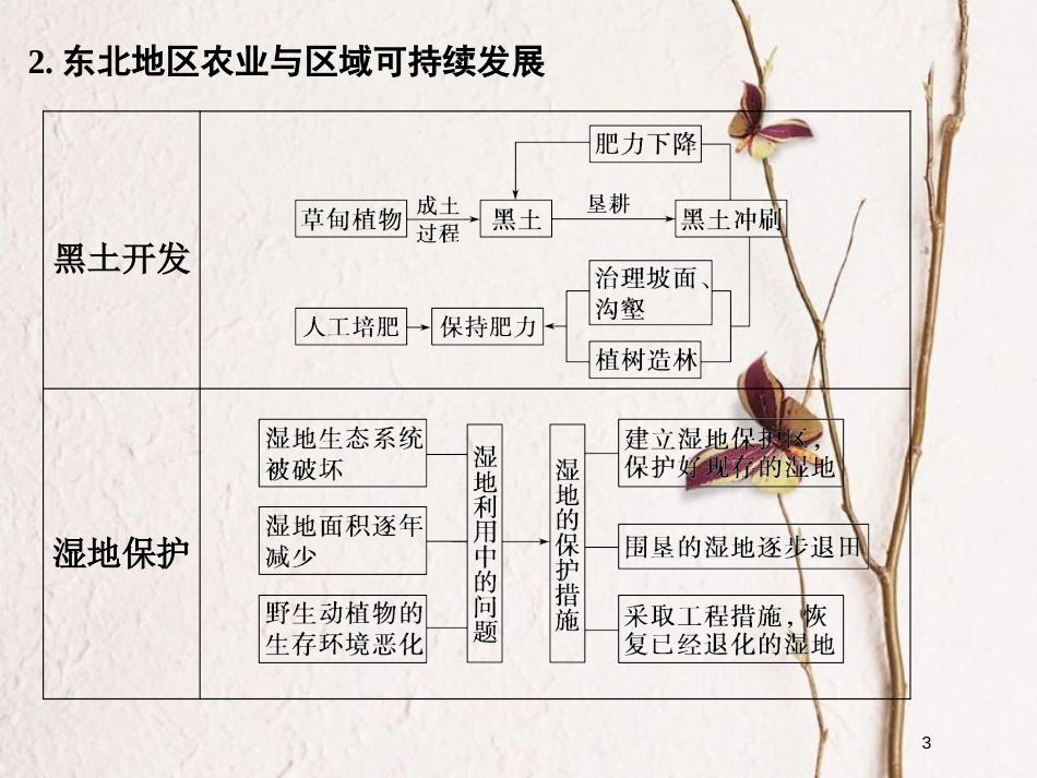 高考地理二轮复习 第17单元 区域经济发展课件(1)_第3页