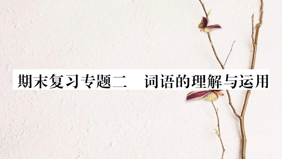 八年级语文下册 期末复习专题2 词语的理解与运用课件 苏教版(1)_第1页