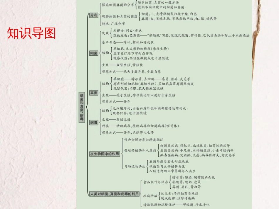 广东省中考生物 第五单元 生物圈中的其它生物 第四章 第五章 细菌和真菌 病毒课件(1)_第3页