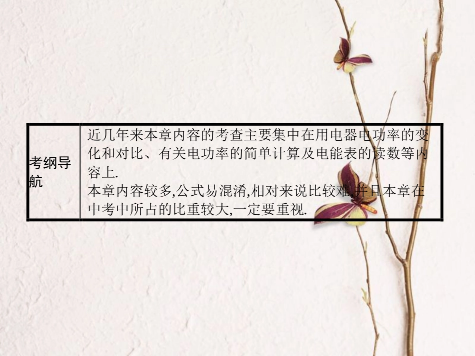 中考物理 第十八章 电功率复习课件 新人教版_第3页