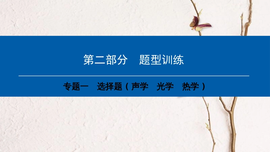 （深圳专用）中考物理总复习 第二部分 专题训练 专题一 选择题（声学 光学 热学）课件_第1页