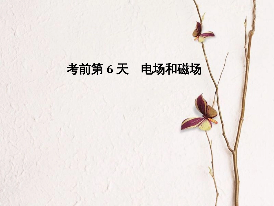（全国通用）高考物理二轮复习 考前第6天 电场和磁场课件_第1页