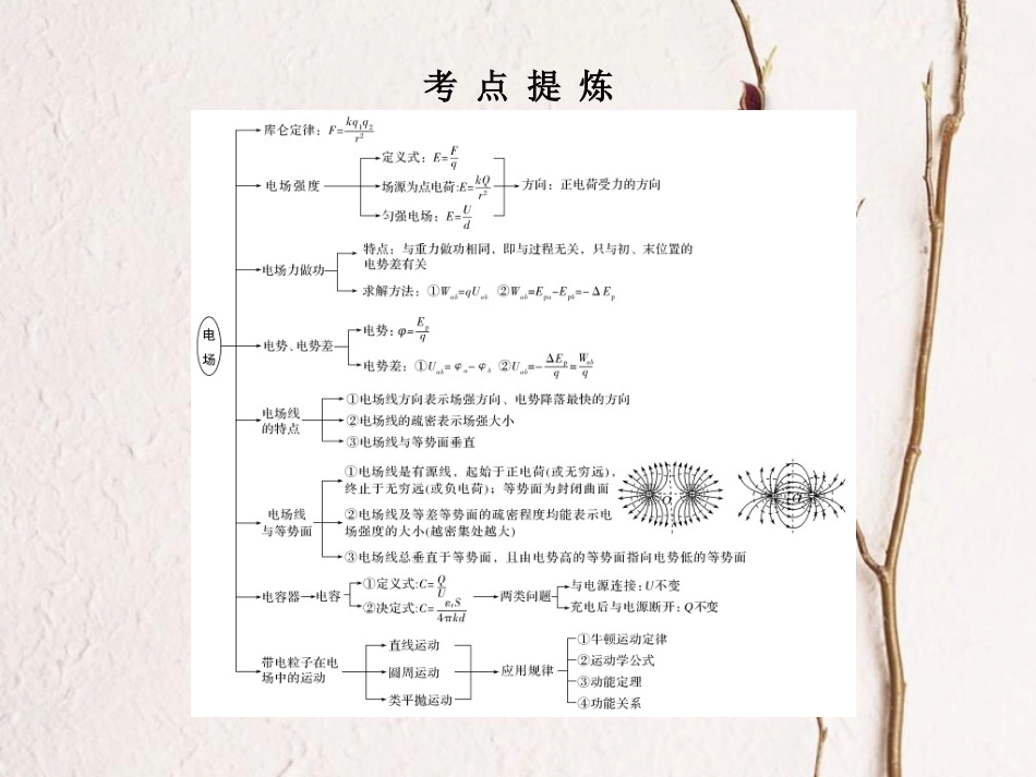 （全国通用）高考物理二轮复习 考前第6天 电场和磁场课件_第2页