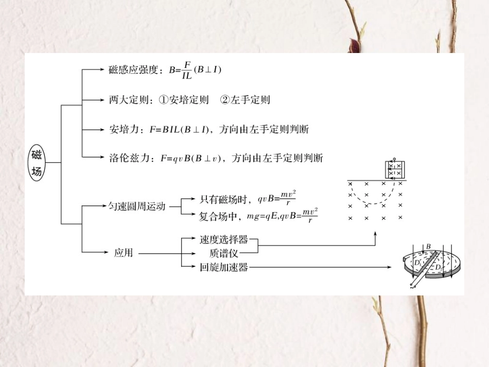 （全国通用）高考物理二轮复习 考前第6天 电场和磁场课件_第3页